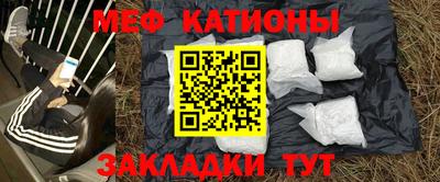 индика Кинель