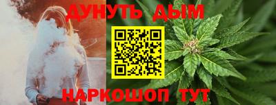 индика Кинель
