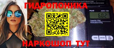 индика Кинель