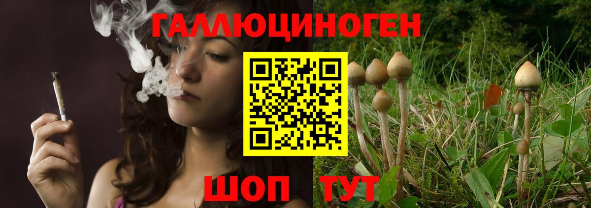 Галлюциногенные грибы Magic Shrooms  Вход с VPN  Химки  где купить   Галлюциногенные грибы Magic Shrooms 